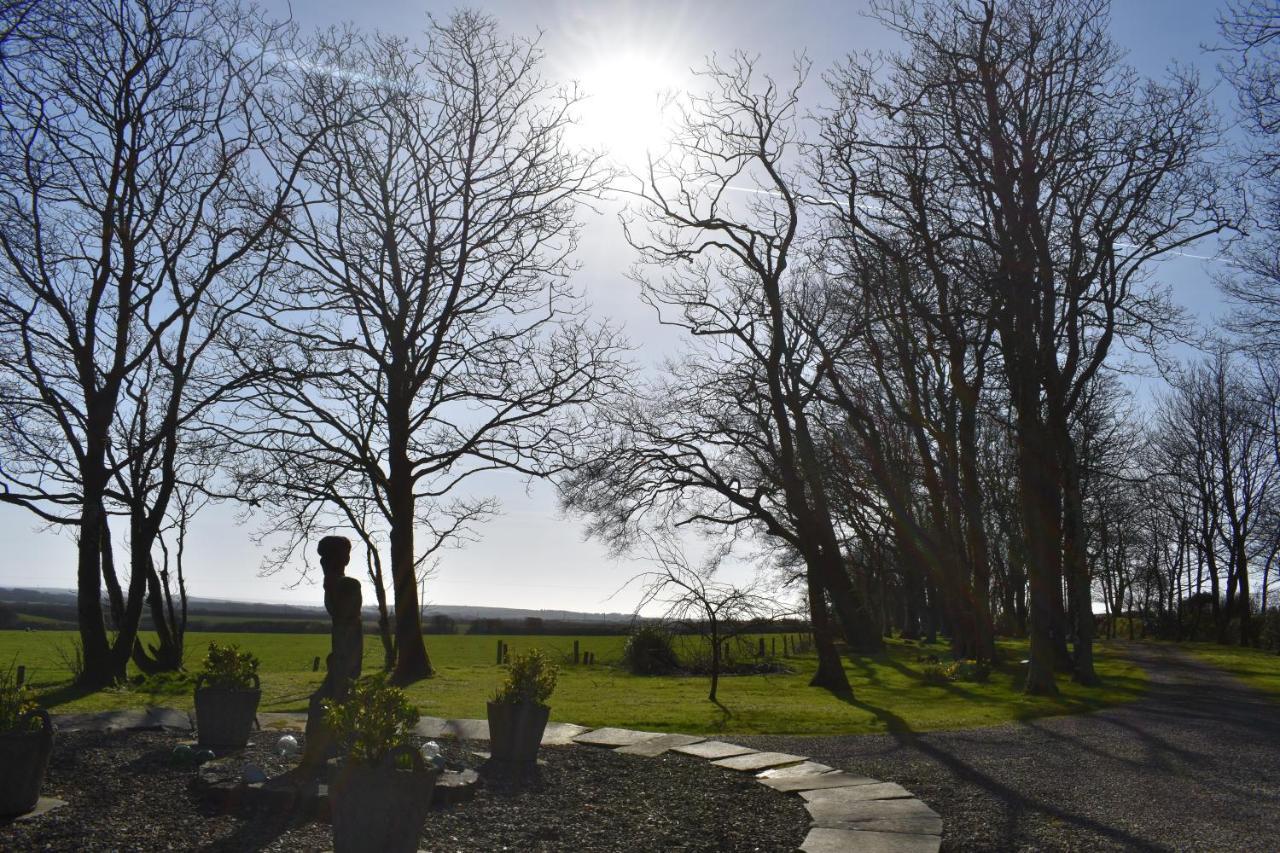 Crug Glas Country House St. Davids  Exterior photo