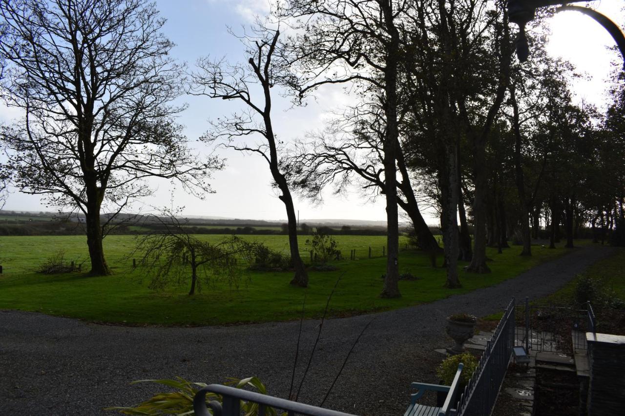 Crug Glas Country House Guest House St. Davids  Exterior photo