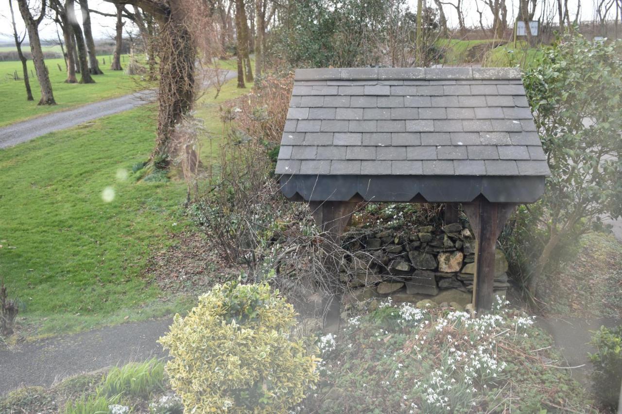 Crug Glas Country House Guest House St. Davids  Exterior photo