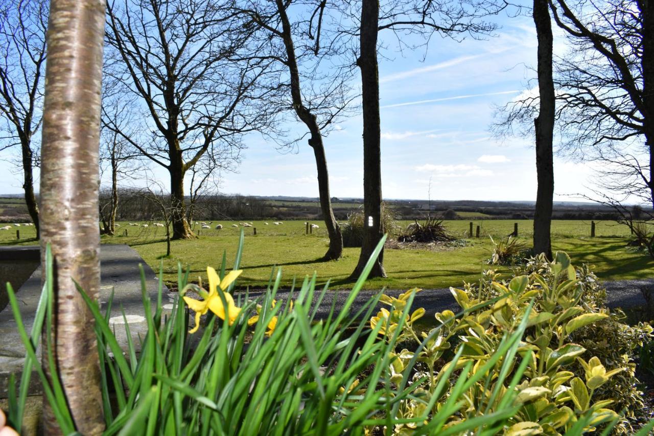 Crug Glas Country House St. Davids  Exterior photo