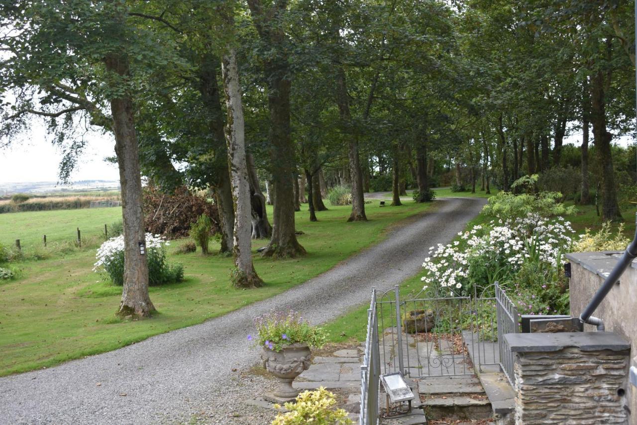 Crug Glas Country House St. Davids  Exterior photo